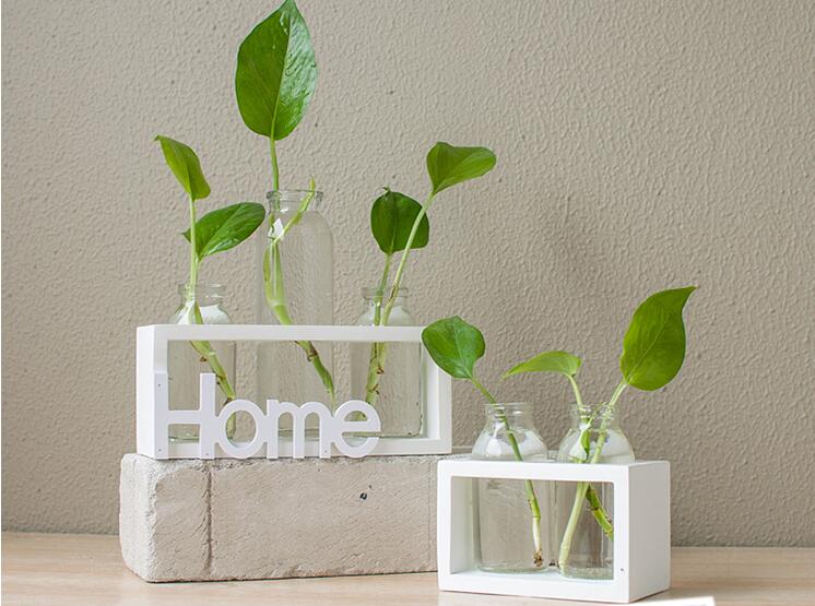 Glass Hydroponic Vase with Wooden Base