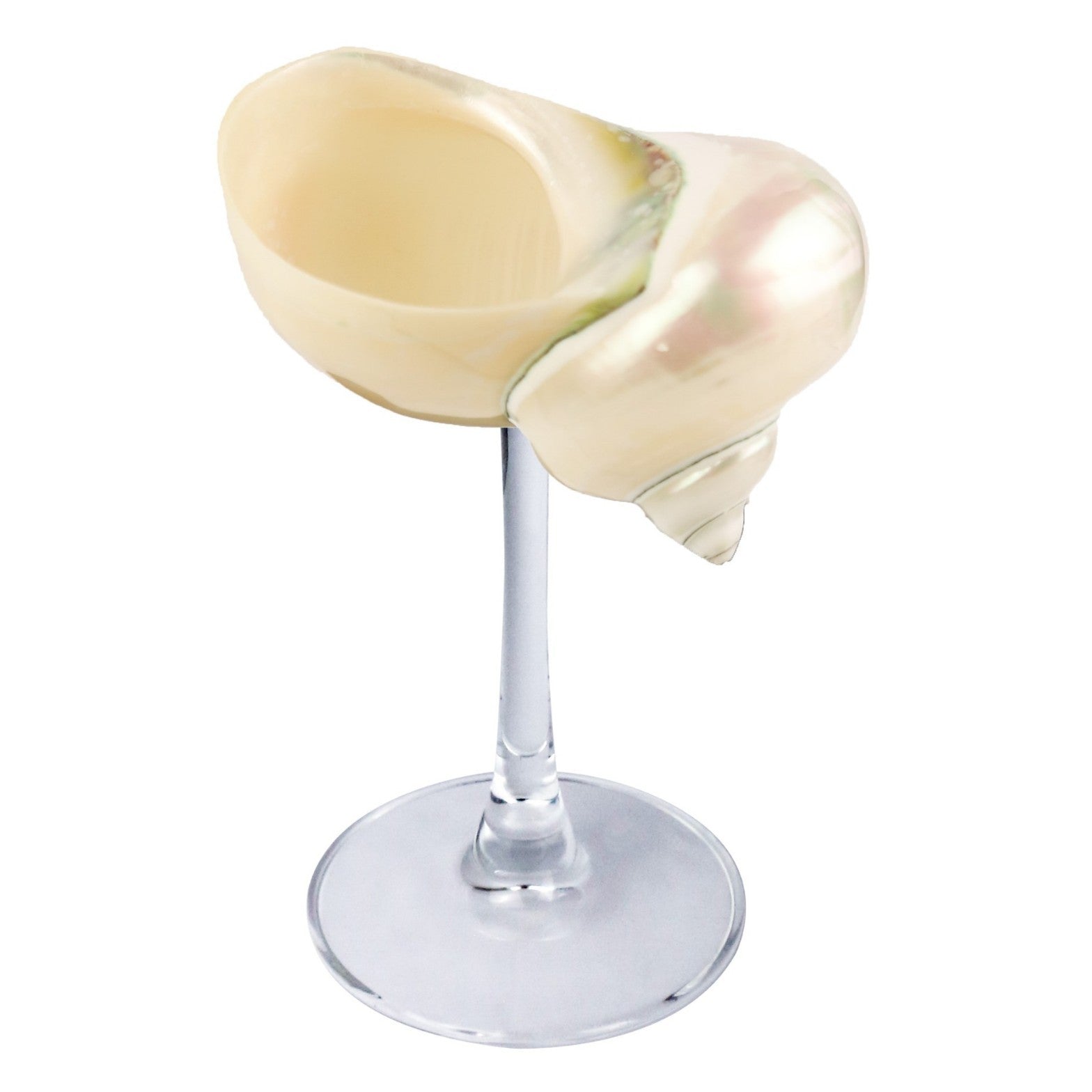 Conch Wine Glass