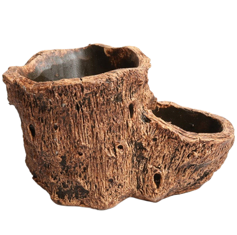 Creative Cement Succulent Plant Pot with Drainage