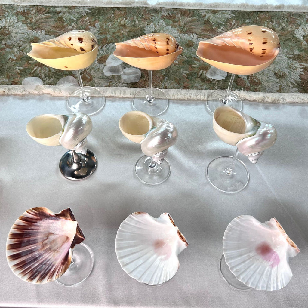 Conch Wine Glass