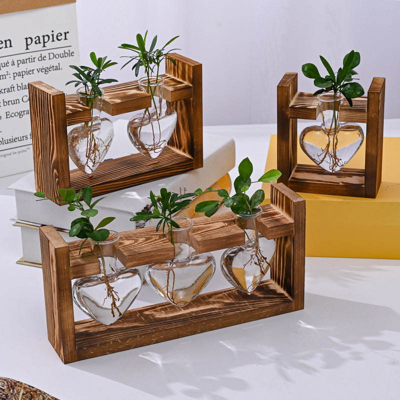 Wooden Frame With Hydroponic Glass Vase for Plants