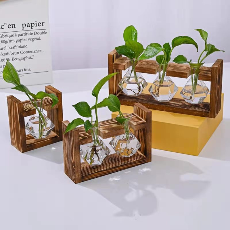 Wooden Frame With Hydroponic Glass Vase for Plants