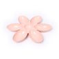 Pet Platter with Petal-Shaped Dog Bowls