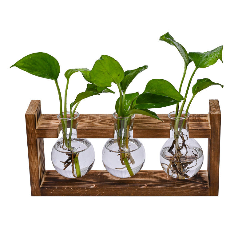 Wooden Frame With Hydroponic Glass Vase for Plants