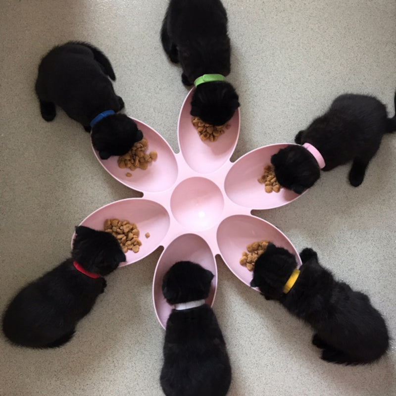 Pet Platter with Petal-Shaped Dog Bowls