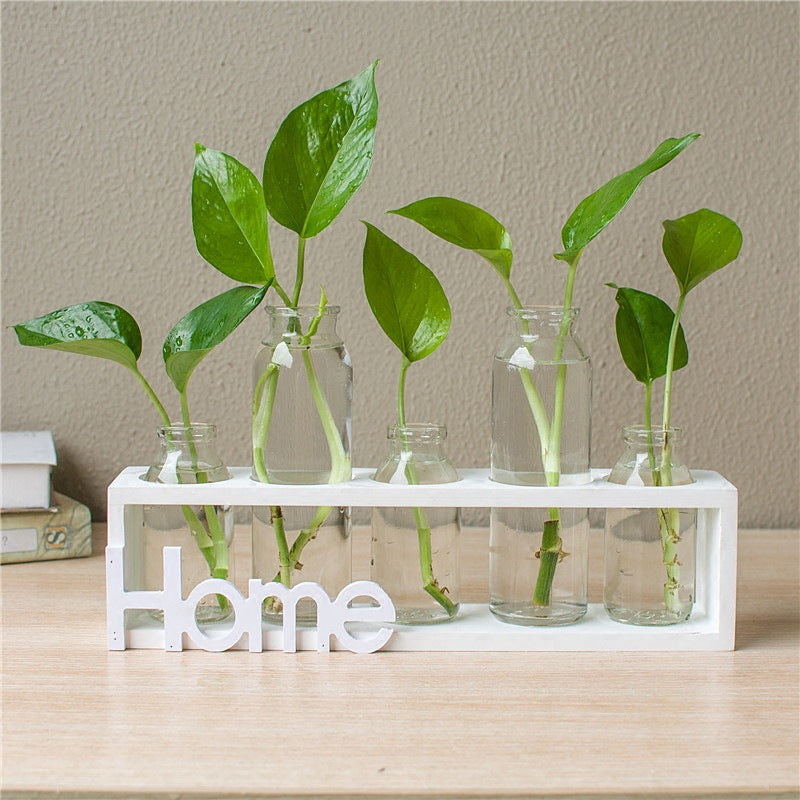 Glass Hydroponic Vase with Wooden Base