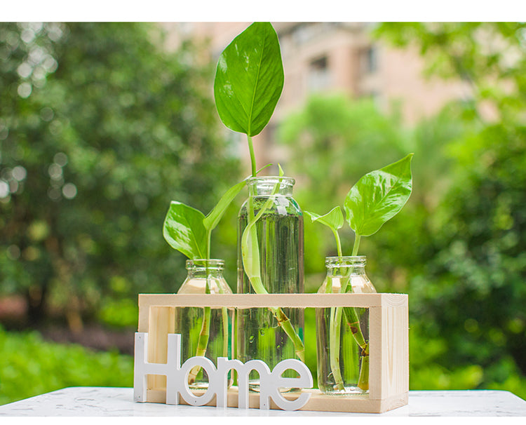 Glass Hydroponic Vase with Wooden Base