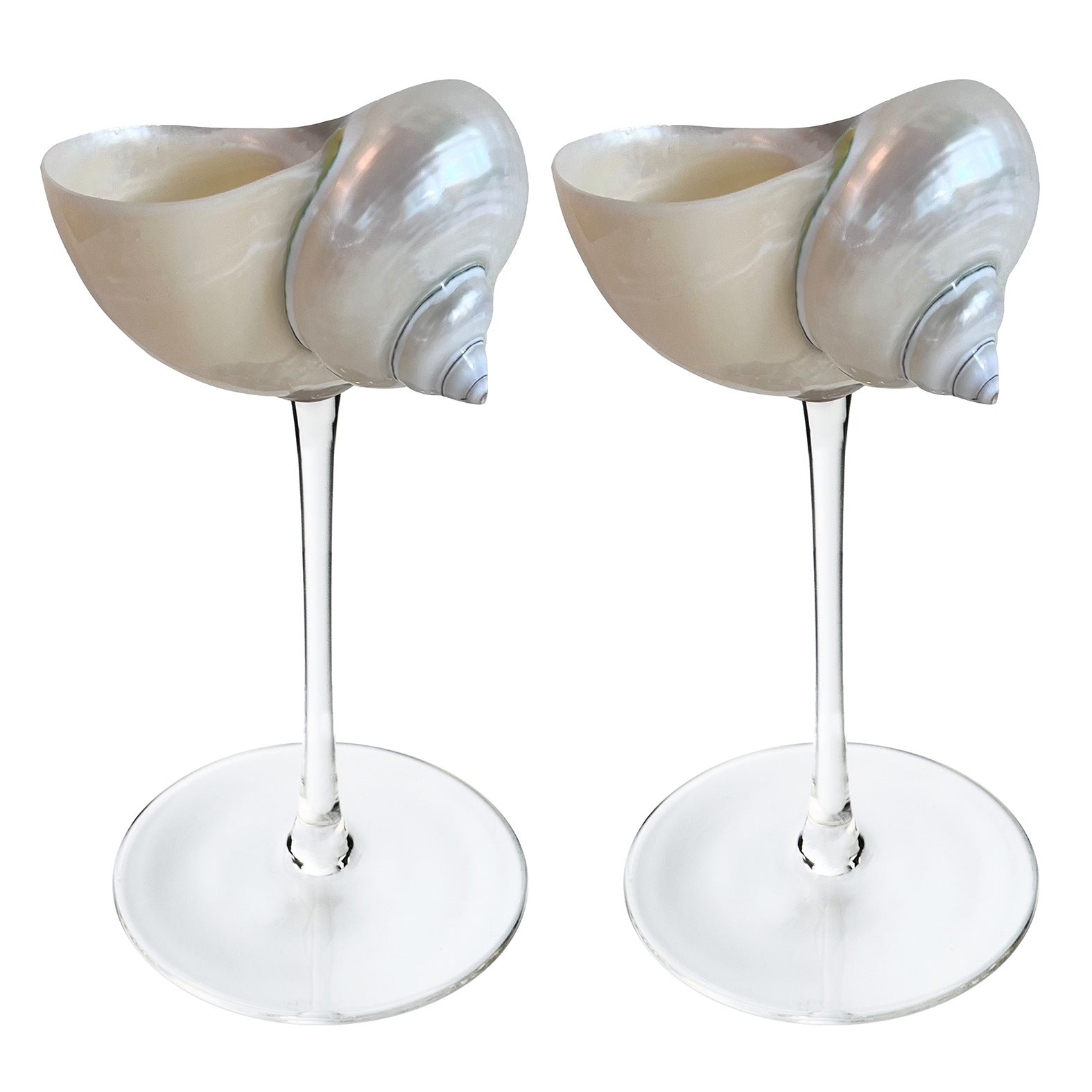 Conch Wine Glass