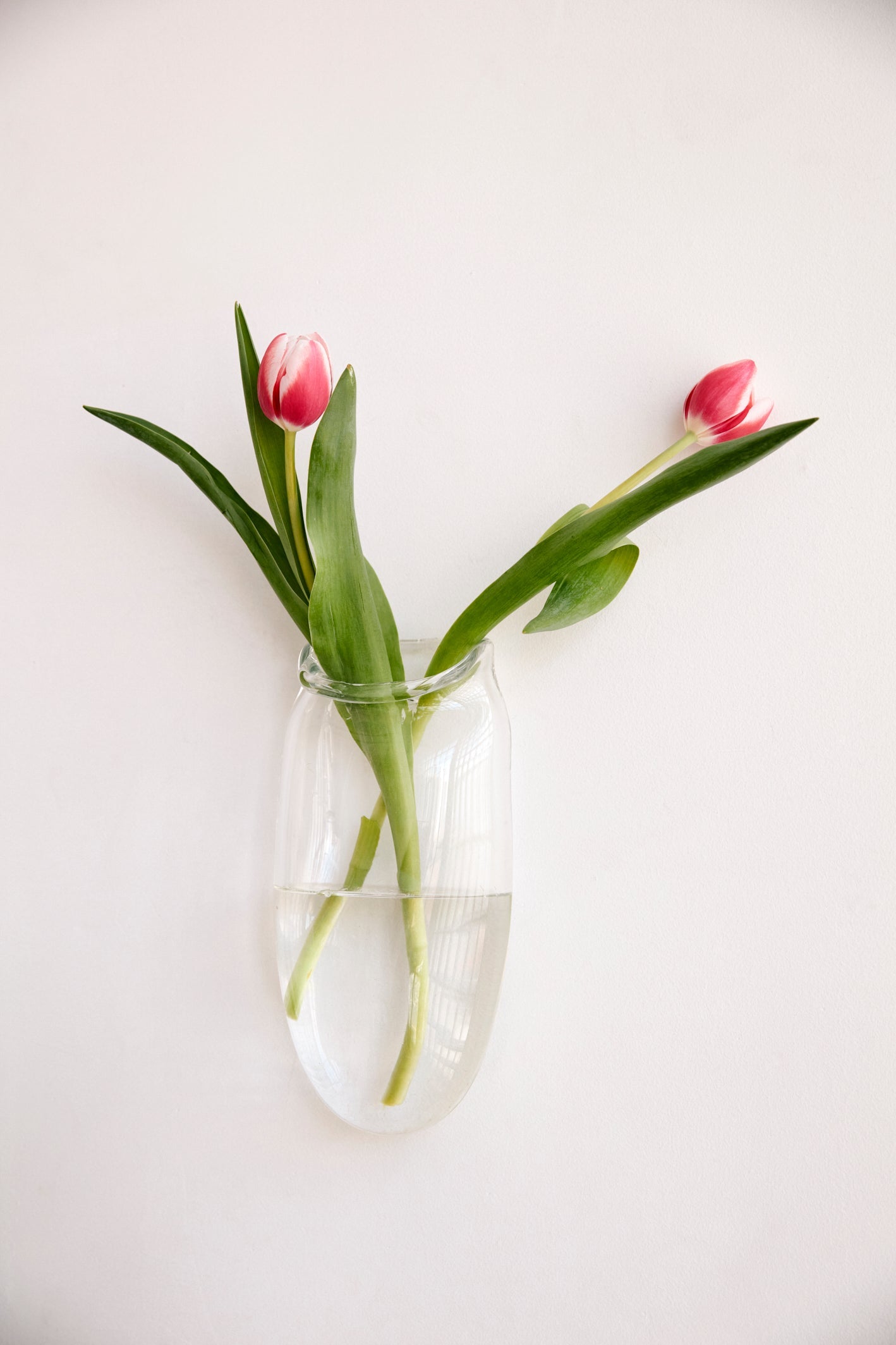 Handblown in NYC Wall Vase