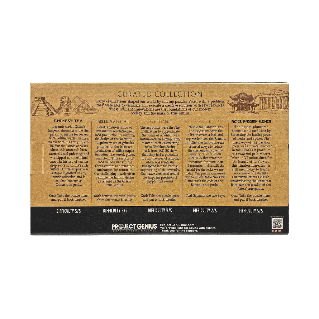 Curated Collection 5-Pack - Assorted Wooden and Metal Puzzles