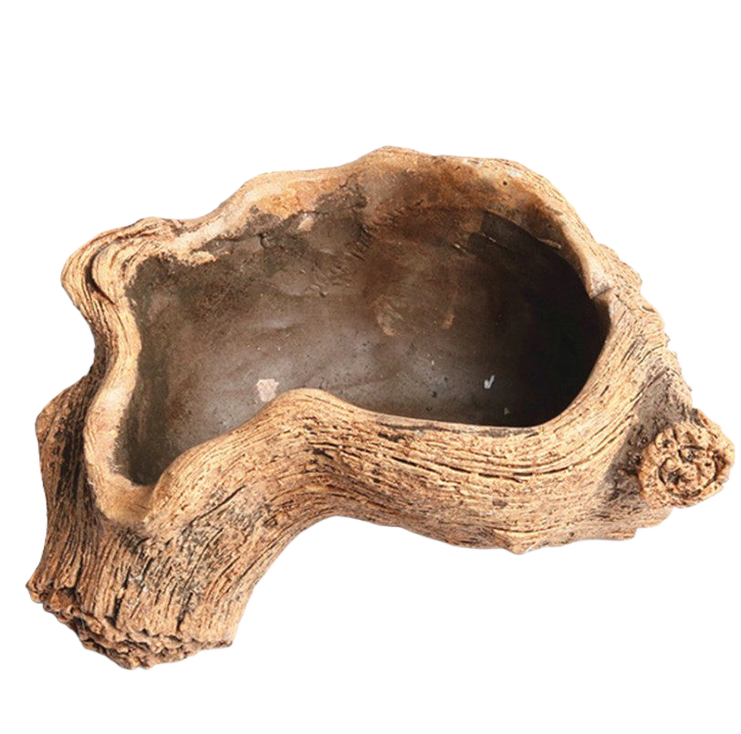 Creative Cement Succulent Plant Pot with Drainage