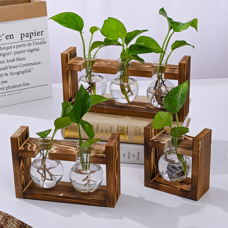 Wooden Frame With Hydroponic Glass Vase for Plants