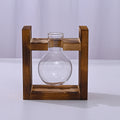 Wooden Frame With Hydroponic Glass Vase for Plants